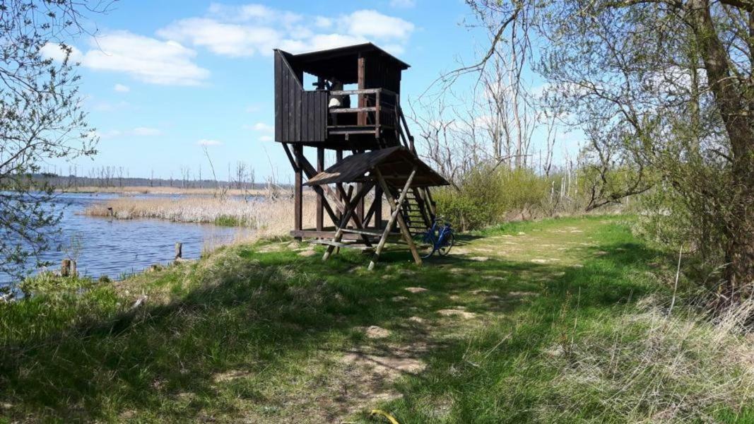 Ferienhaus Paul Am Klostersee, Urlaub Mit HundDargun エクステリア 写真